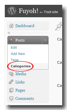 WordPress: Categories