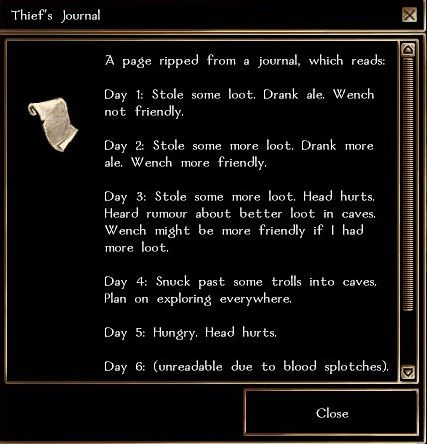 Thief's journal